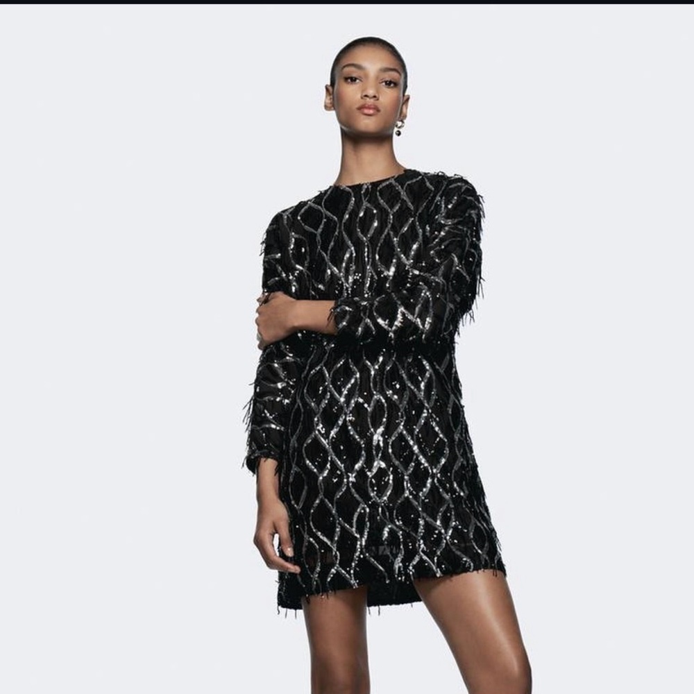 Zara Black Sequin Long Sleeve Dress
